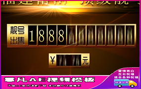 B214手机靓号摇号