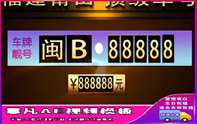 B215车牌靓号摇号