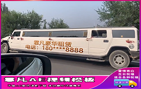 B290加长豪车车身文字