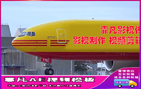 B295黄色飞机
