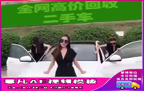 B308奔驰美女 1处文字