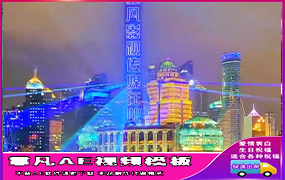 B350上海东方明珠夜景灯塔