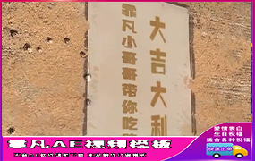 B433刺激战场吃鸡