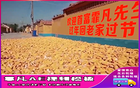 B438玉米墙壁文字