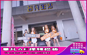 B483美女4人车模