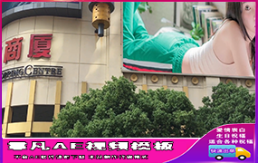 B033南京路步行街