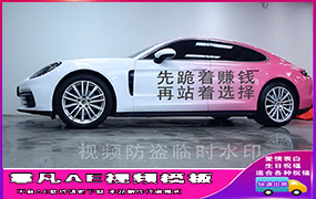 B561粉色跑车红布