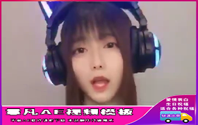 B563DJ猫儿黑衣胸前改字