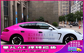 B592帕拉梅拉粉色渐变路边