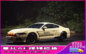 B598白色野马跑车