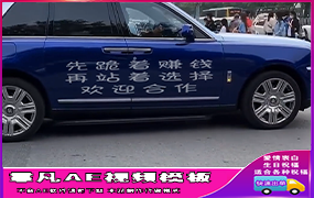 B599库里南合集系列