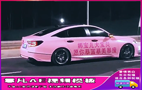 B607粉色雅阁轿车