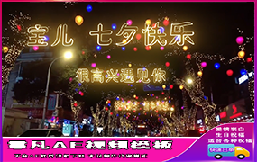 B619夜晚街道霓虹灯字