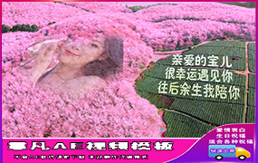 B680浪漫樱花告白