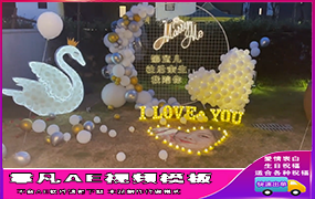 B691白天鹅气球派对