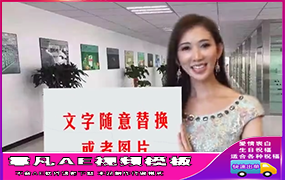 B153林志玲背景可换