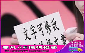 B743美女写字举牌