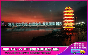 B767黄鹤楼夜景大桥文字