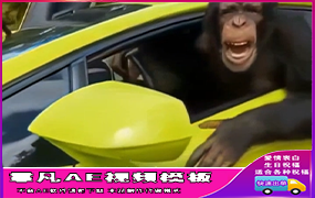 B770猩猩跑车改字