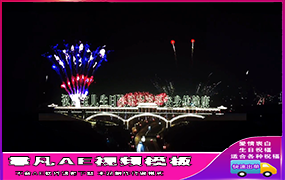 B779桥上烟花夜景