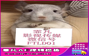 B869小老鼠吃东西