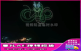 B1014龙珠无人机