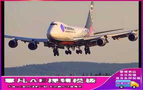 B1026LOGO版顺丰飞机机身