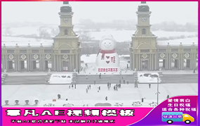 B1041：超大雪人表白