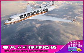 B1050：飞机模版