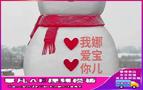 B1054：超大雪人表白（3期）