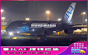 B1058：黑夜飞机