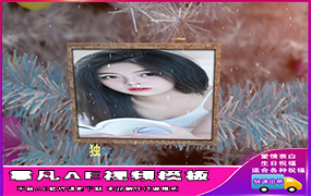 B1069：悬挂在白色圣诞树上的照片