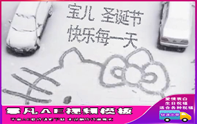 B1084：猫咪雪地