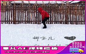 B1096：雪地洒水成冰