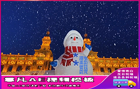 B1100：超大雪人表白（6期）