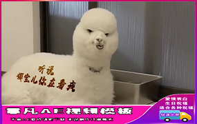 B1119：羊了个羊