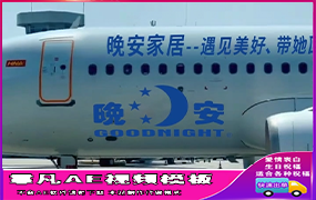 B1124：大LOGO飞机