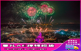 B1150：上海迪士尼烟花