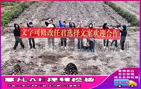 B1158：田地横幅