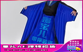 B1163：天空飞行侠