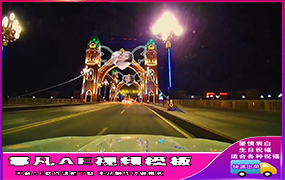 B1166：桥上霓虹灯照片版