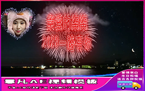 B1186：一朵美丽的烟花