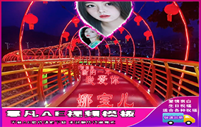 B1199：新年浪漫表白网红桥