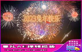 B1200：新年烟花祝福（2期）