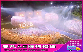 B1235：粉红花海布置