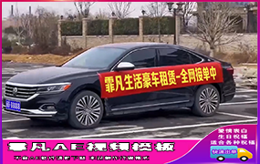 B1238：大众车身改字