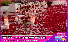 B1259：玫瑰花瓣表白祝福