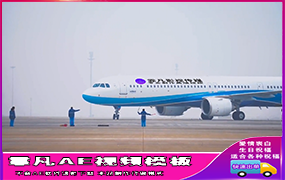 B1288：飞机停靠