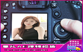 B1297：单反相机