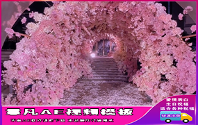 B1267：粉红花海